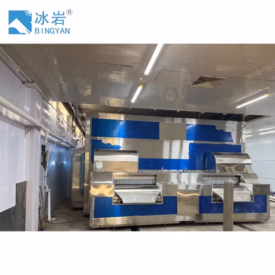 Flash Freezer Cold Room Refrigeration Equipment
